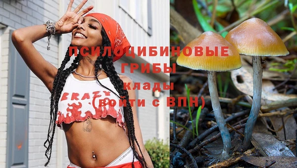 соль курить ск Алексин