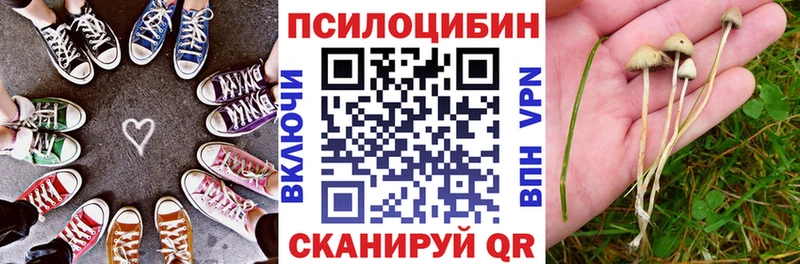 купить наркотики сайты Арамиль ссылка на мегу ТОР Псилоцибиновые грибы GOLDEN TEACHER
